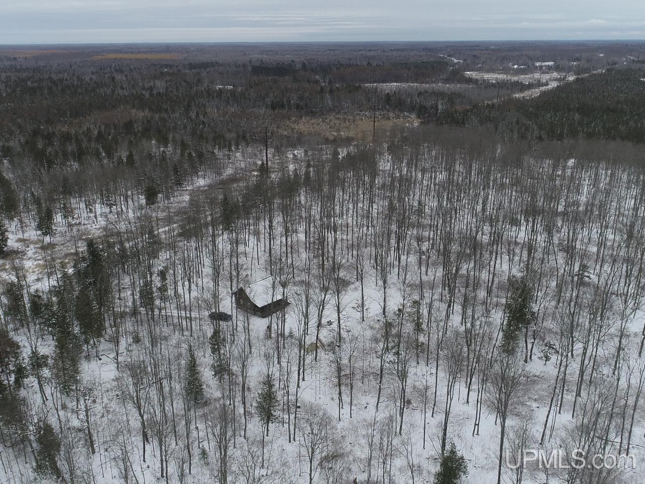 120-acres Off County Sk Road Cornell, MI 49818 - Photo 39 of 40