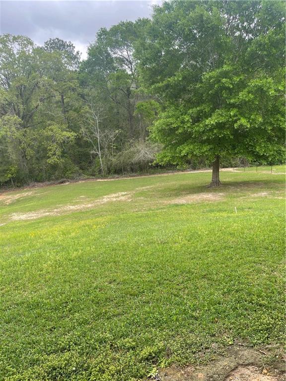 92 Bradley Road Carriere, MS 39426 - Photo 17 of 21