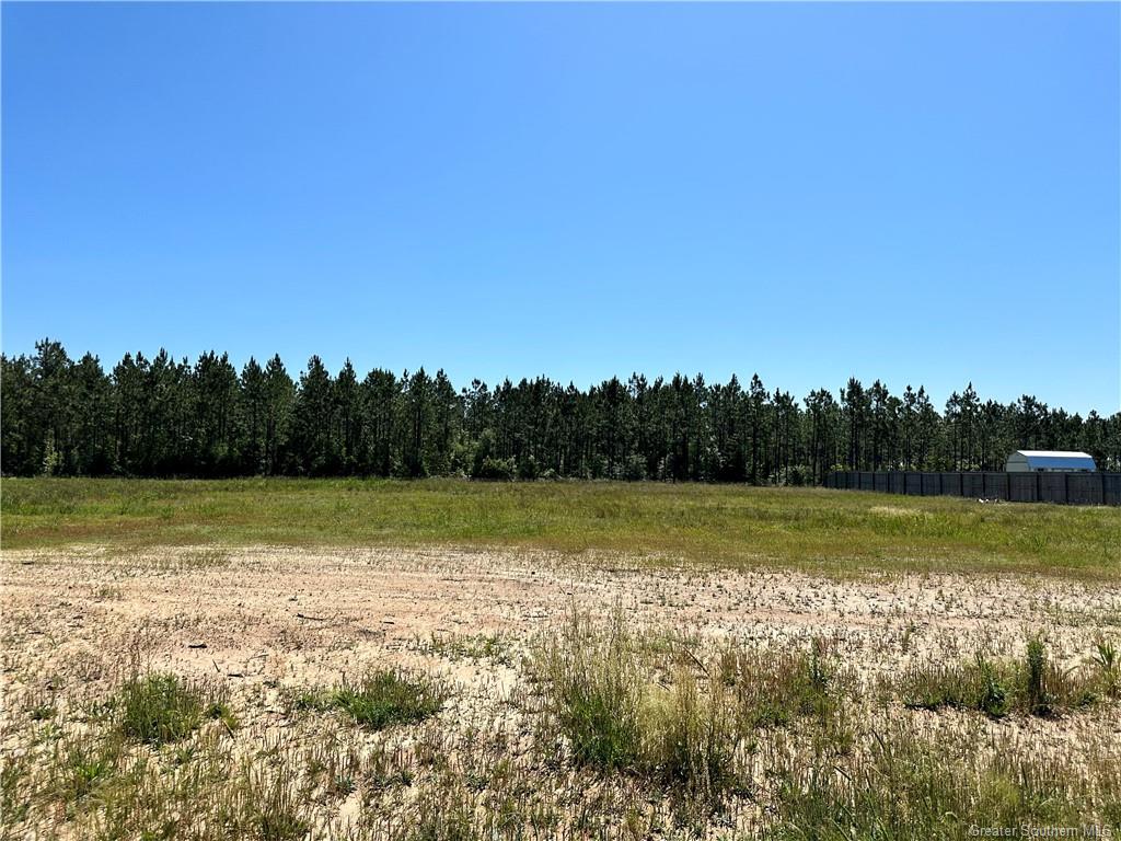 0 Canna Lily Drive Ragley, LA 70657 - Photo 12 of 36