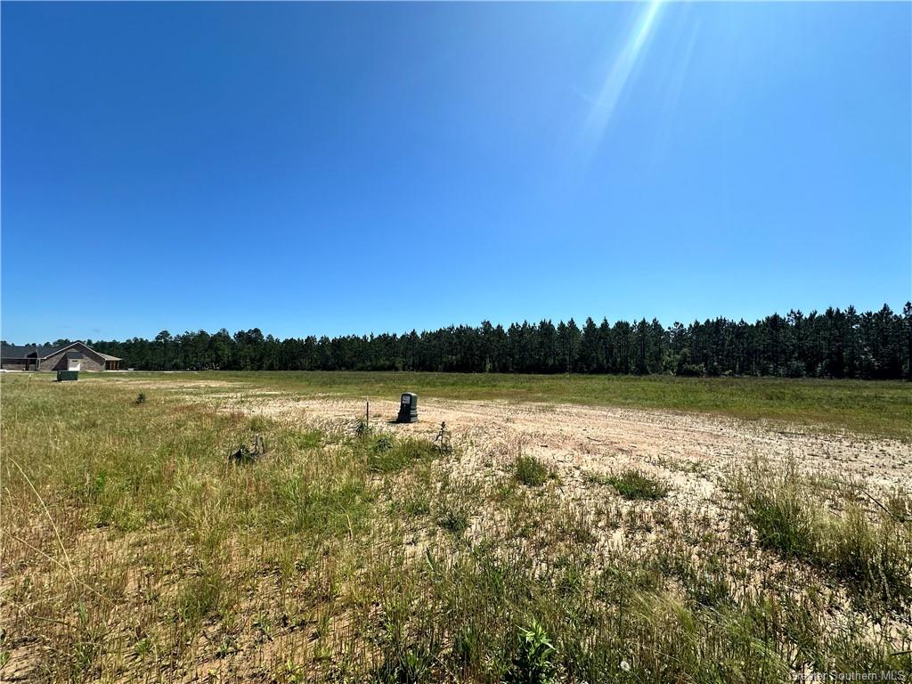 0 Canna Lily Drive Ragley, LA 70657 - Photo 14 of 36