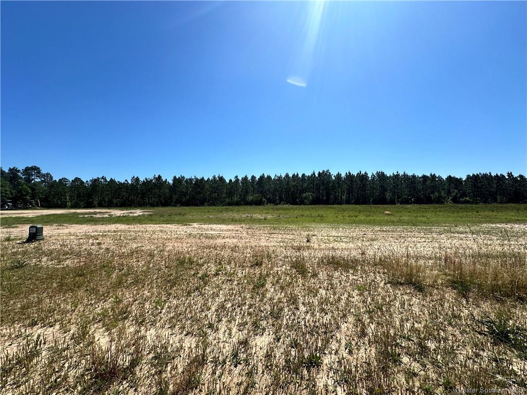 0 Canna Lily Drive Ragley, LA 70657 - Photo 15 of 36