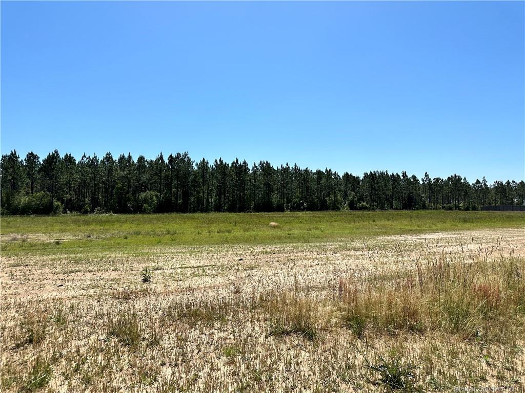 0 Canna Lily Drive Ragley, LA 70657 - Photo 16 of 36