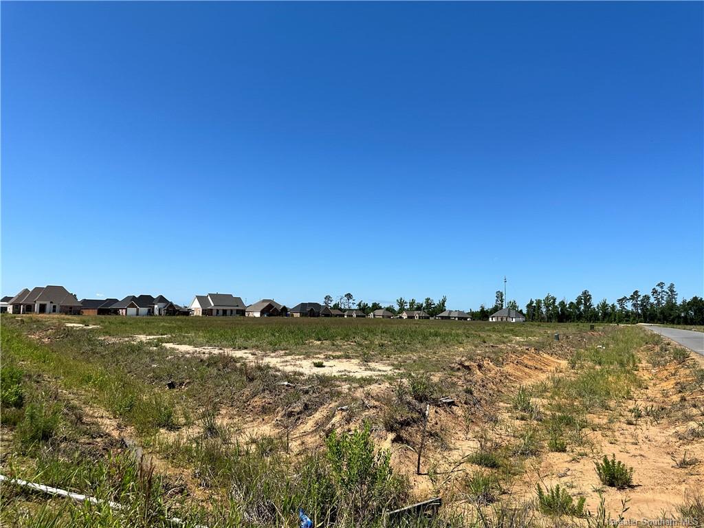 0 Canna Lily Drive Ragley, LA 70657 - Photo 17 of 36