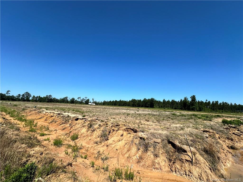 0 Canna Lily Drive Ragley, LA 70657 - Photo 19 of 36