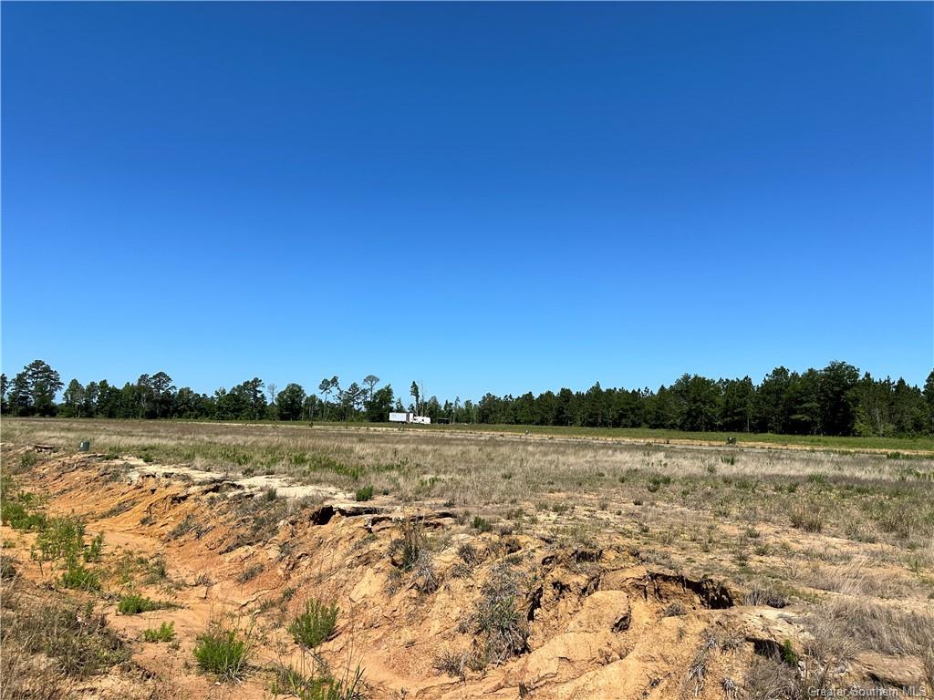 0 Canna Lily Drive Ragley, LA 70657 - Photo 20 of 36