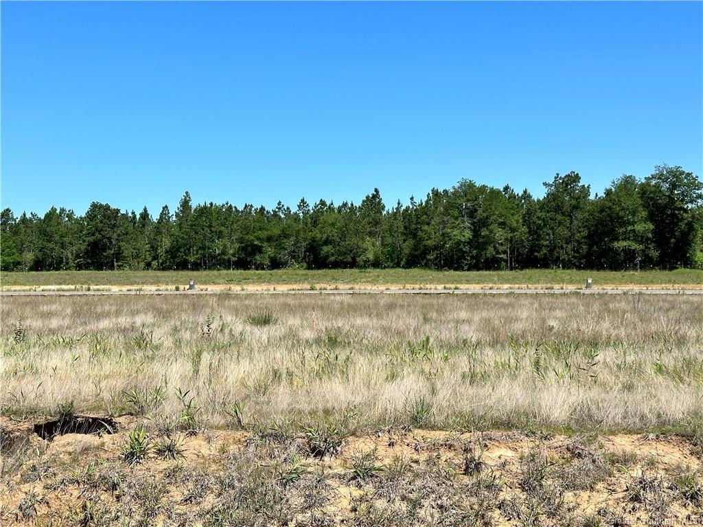 0 Canna Lily Drive Ragley, LA 70657 - Photo 23 of 36