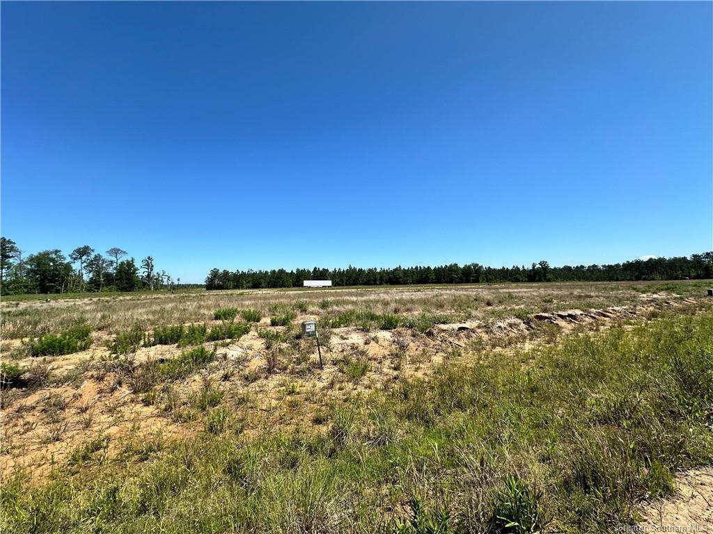 0 Canna Lily Drive Ragley, LA 70657 - Photo 27 of 36