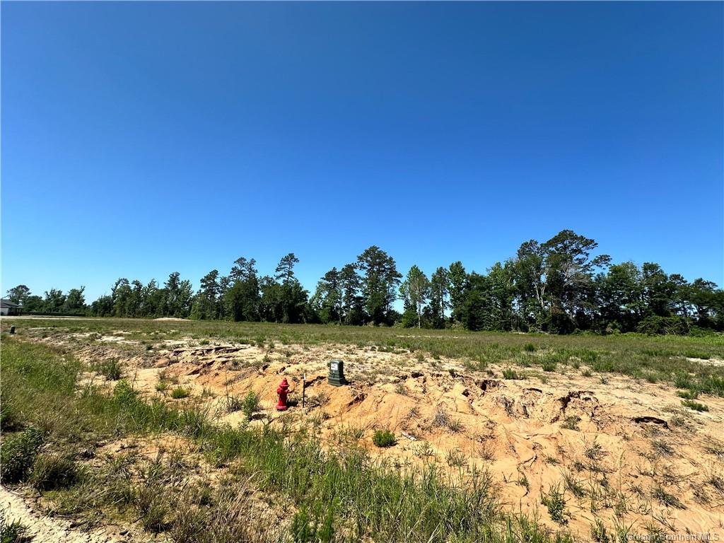 0 Canna Lily Drive Ragley, LA 70657 - Photo 28 of 36