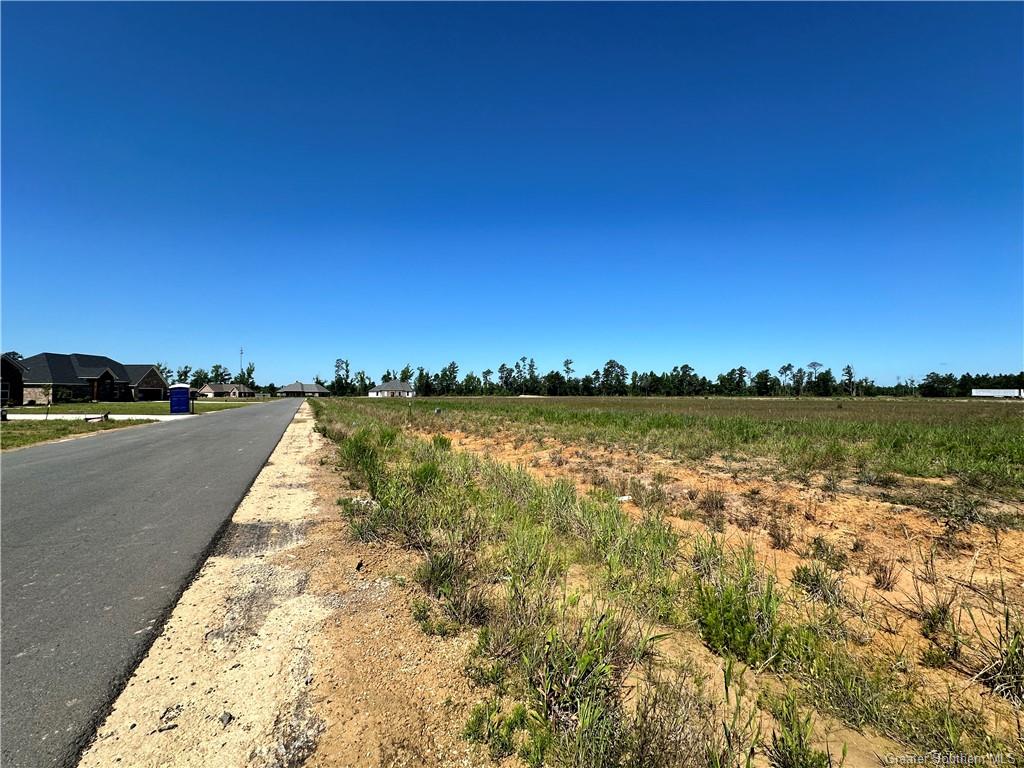 0 Canna Lily Drive Ragley, LA 70657 - Photo 3 of 36