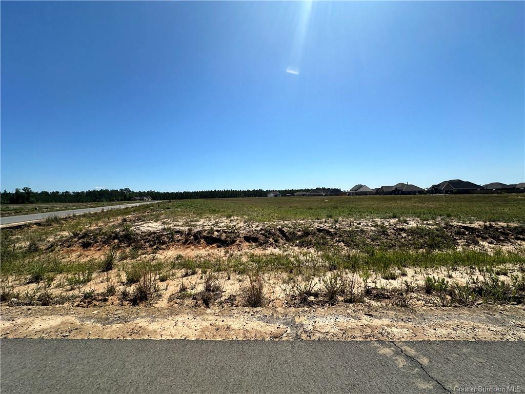 0 Canna Lily Drive Ragley, LA 70657 - Photo 32 of 36