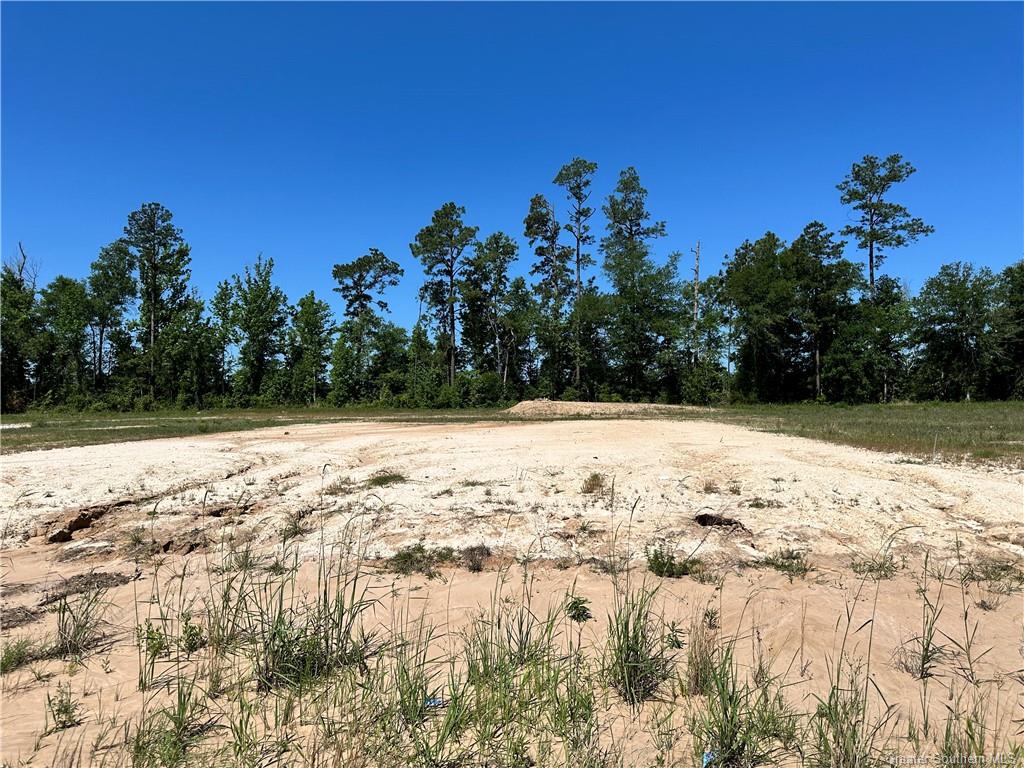 0 Canna Lily Drive Ragley, LA 70657 - Photo 33 of 36