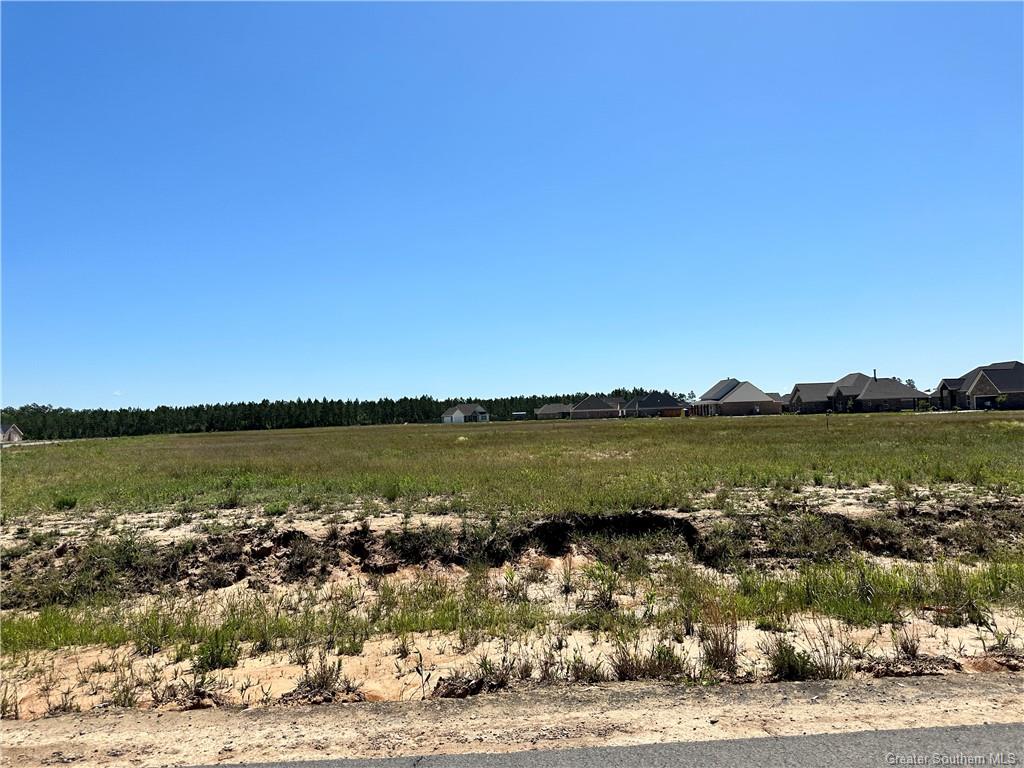 0 Canna Lily Drive Ragley, LA 70657 - Photo 34 of 36