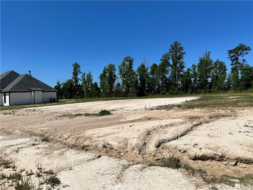 0 Canna Lily Drive Ragley, LA 70657 - Photo 35 of 36