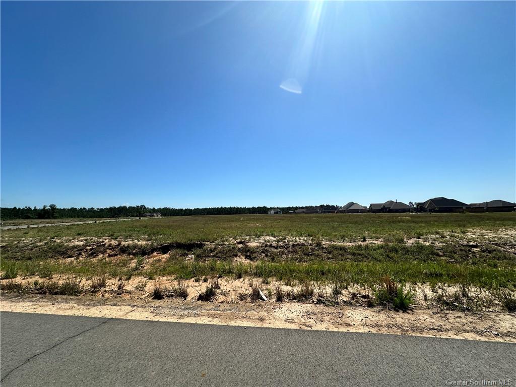 0 Canna Lily Drive Ragley, LA 70657 - Photo 36 of 36