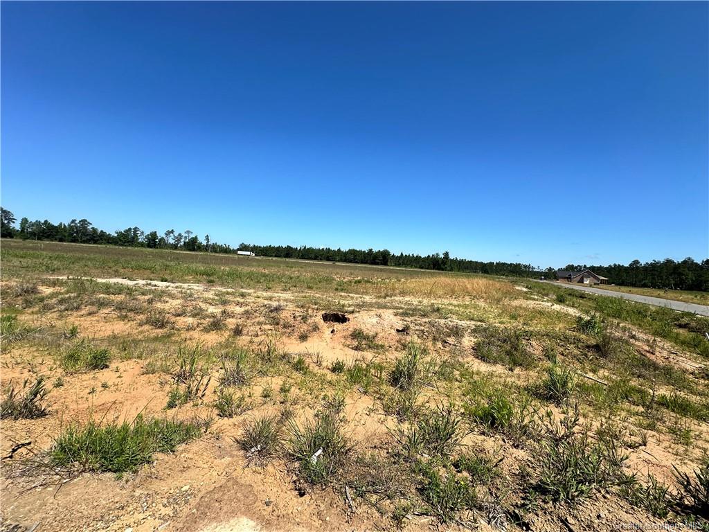 0 Canna Lily Drive Ragley, LA 70657 - Photo 4 of 36