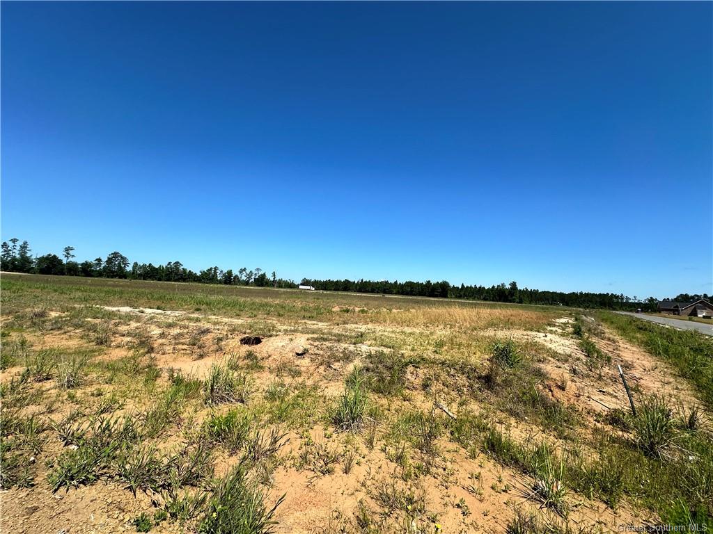 0 Canna Lily Drive Ragley, LA 70657 - Photo 5 of 36