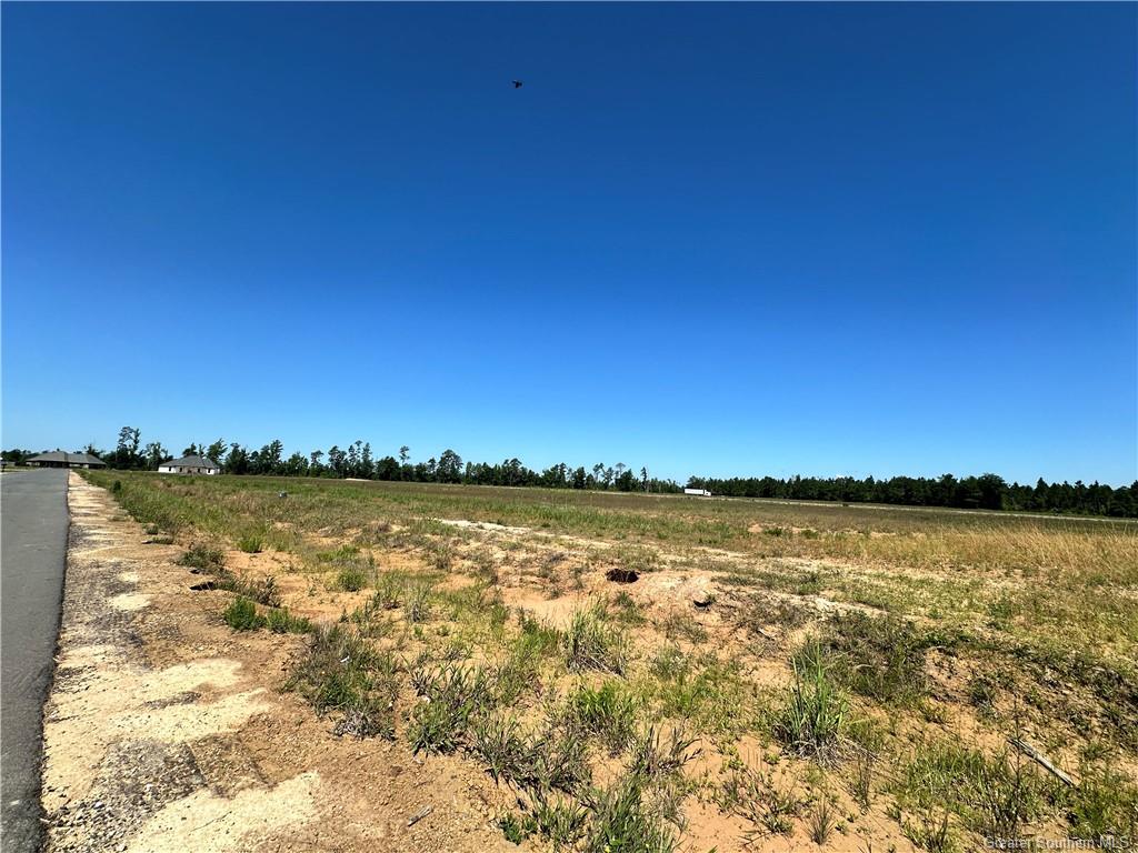 0 Canna Lily Drive Ragley, LA 70657 - Photo 6 of 36