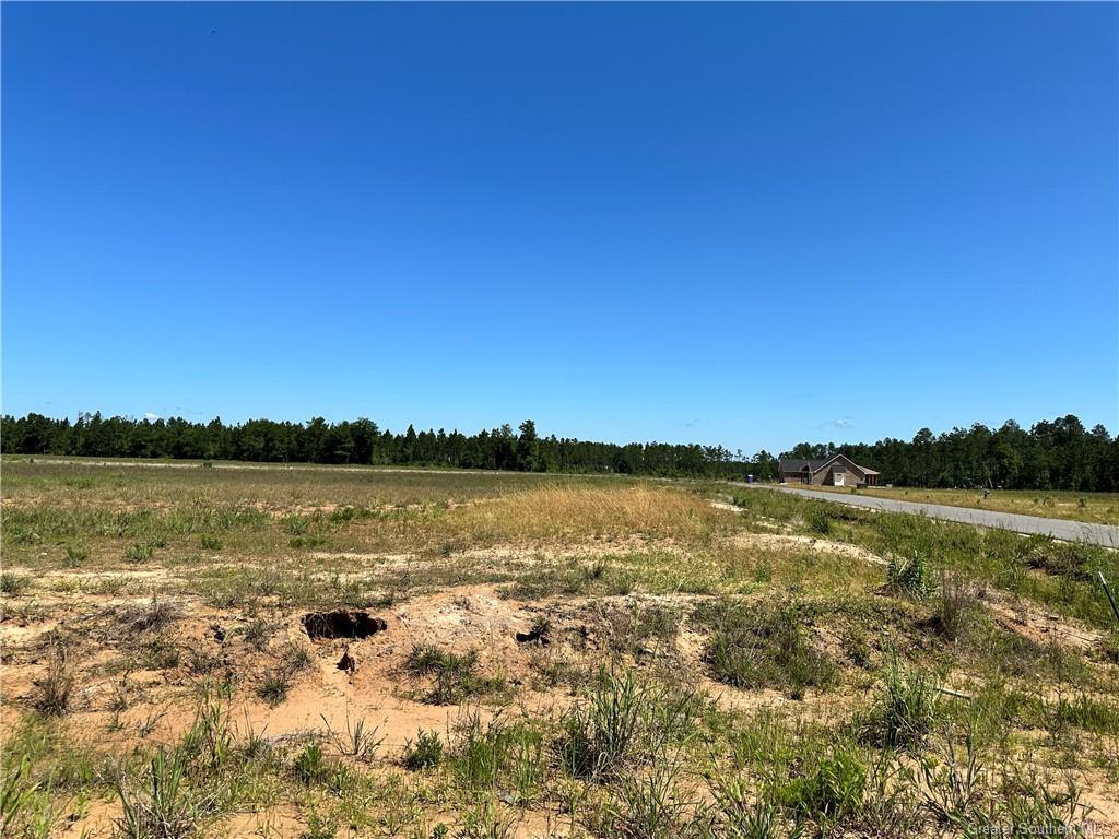 0 Canna Lily Drive Ragley, LA 70657 - Photo 7 of 36