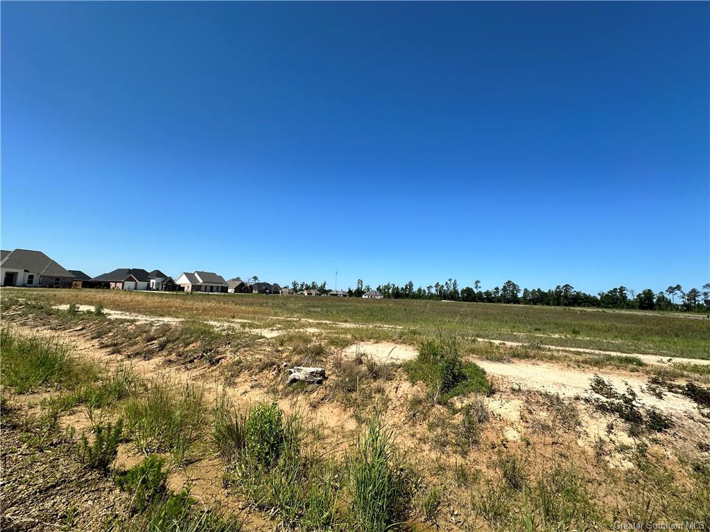 0 Canna Lily Drive Ragley, LA 70657 - Photo 9 of 36