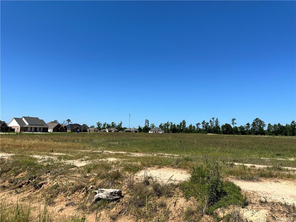 0 Canna Lily Drive Ragley, LA 70657 - Photo 10 of 36