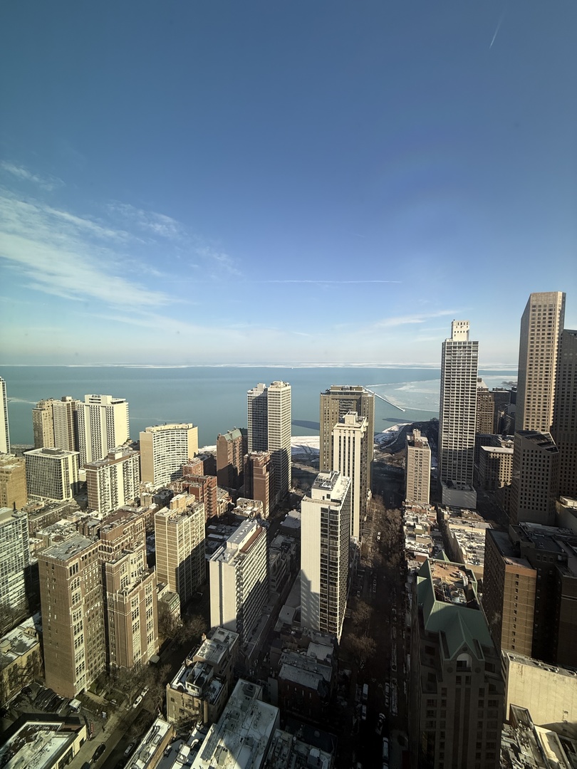 1030 North State Street, Unit 48G Chicago, IL 60610 - Photo 20 of 25