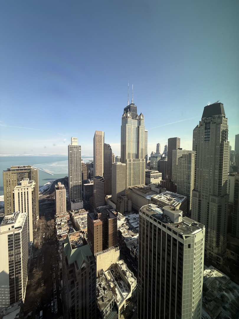 1030 North State Street, Unit 48G Chicago, IL 60610 - Photo 21 of 25