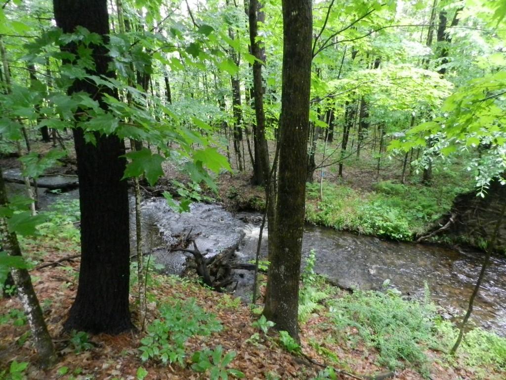 203 Blake Road Standish, ME 04084 - Photo 24 of 24 Photo