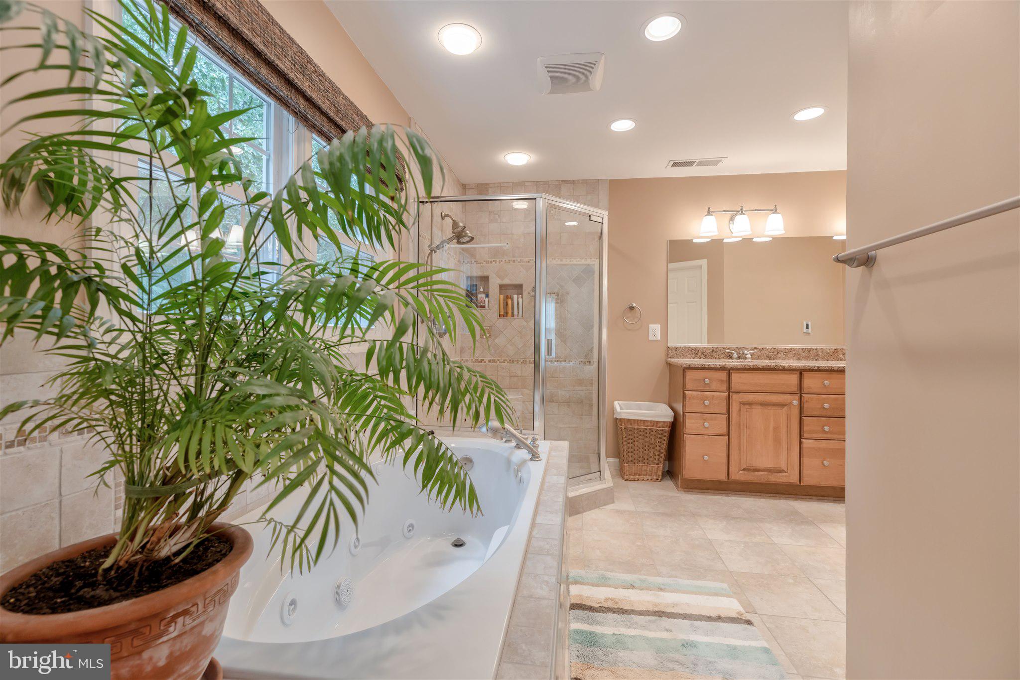 7913 Richfield Road Springfield, VA 22153 - Photo 47 of 72 Master Bath
