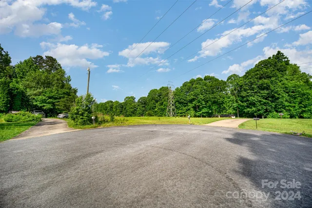 a view of a yard with a tree