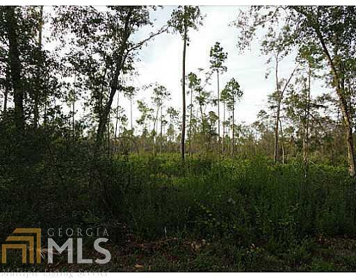 0 Lexington Ext Avenue Rincon, GA 31326 - Photo 1 of 1