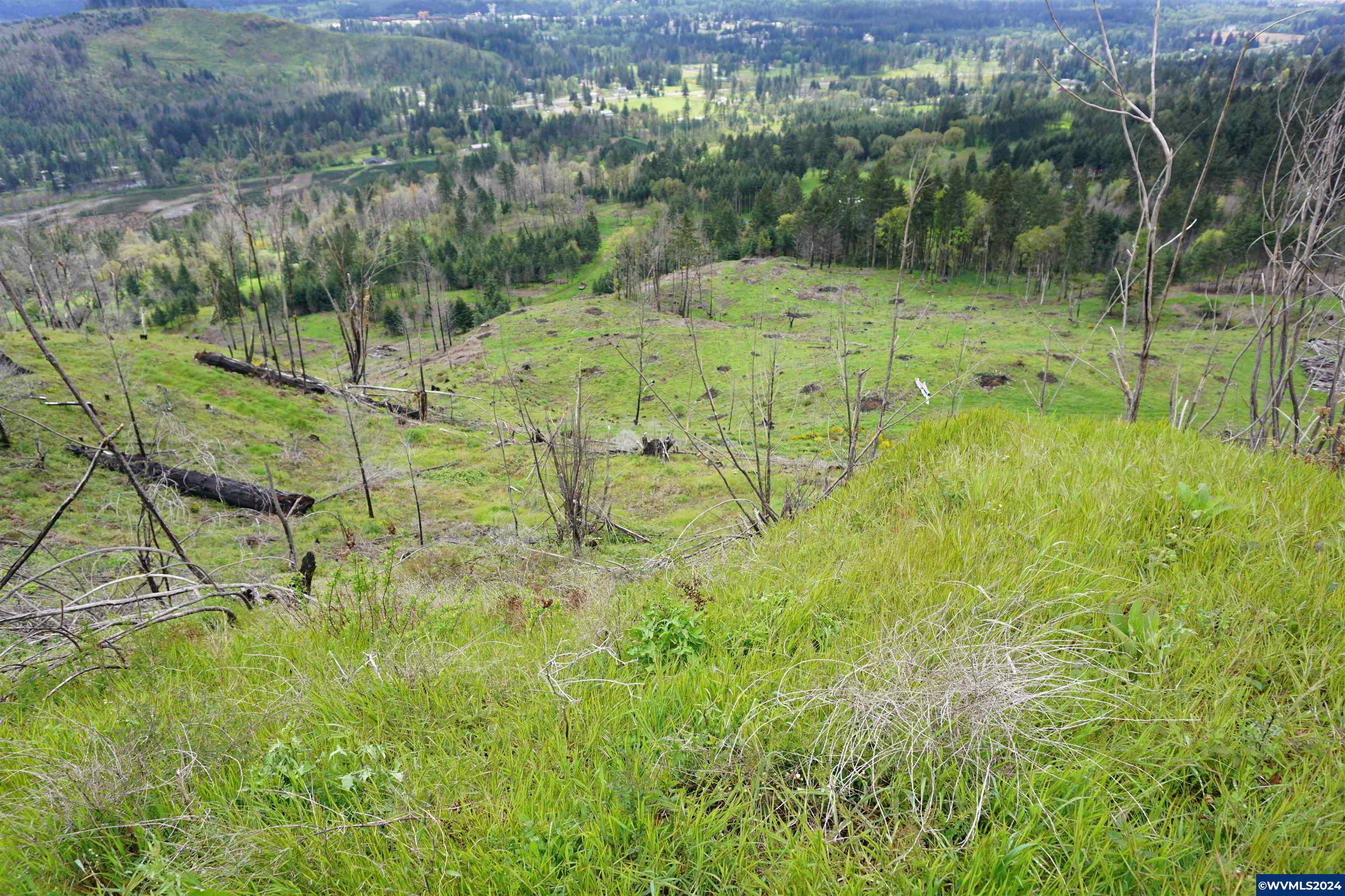 900 Wagner Road Lyons, OR 97358 - Photo 5 of 30