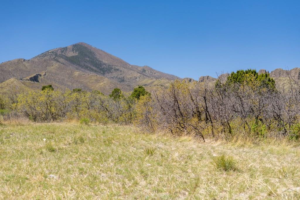 Lot 25 Majors Ranch Walsenburg, CO 81089 - Photo 5 of 34