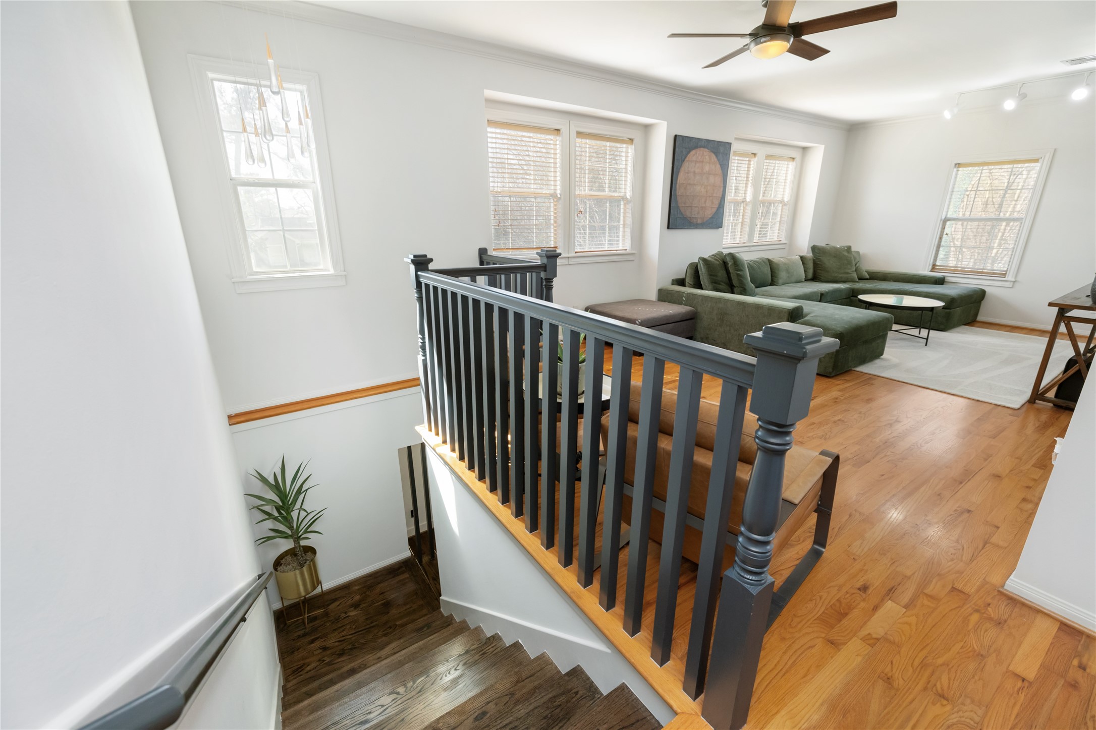 516 West 30th Street Houston, TX 77018 - Photo 31 of 49