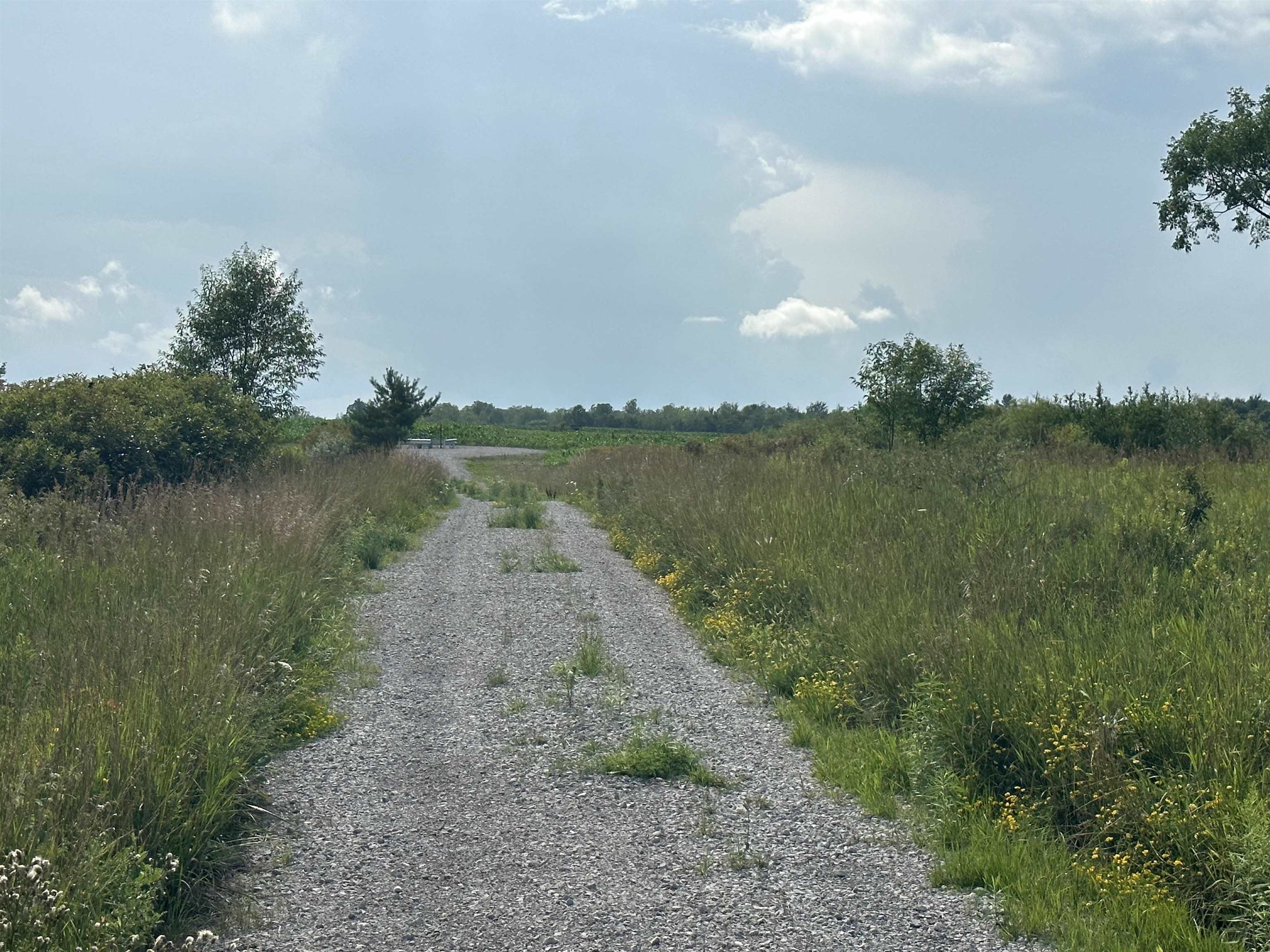 19 Mile Road Marion, MI 49665 - Photo 4 of 9