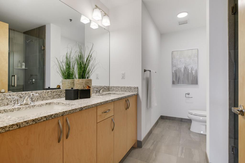 1240 South 2nd Street, Unit 719 Minneapolis, MN 55415 - Photo 17 of 45