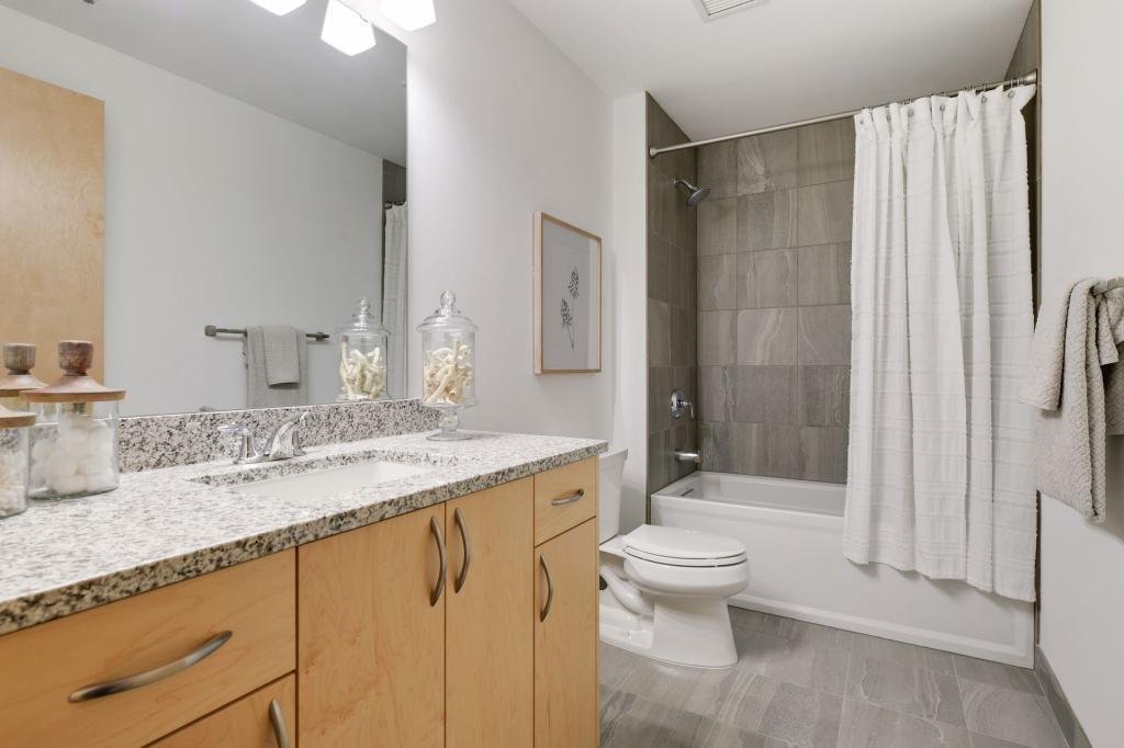 1240 South 2nd Street, Unit 719 Minneapolis, MN 55415 - Photo 22 of 45