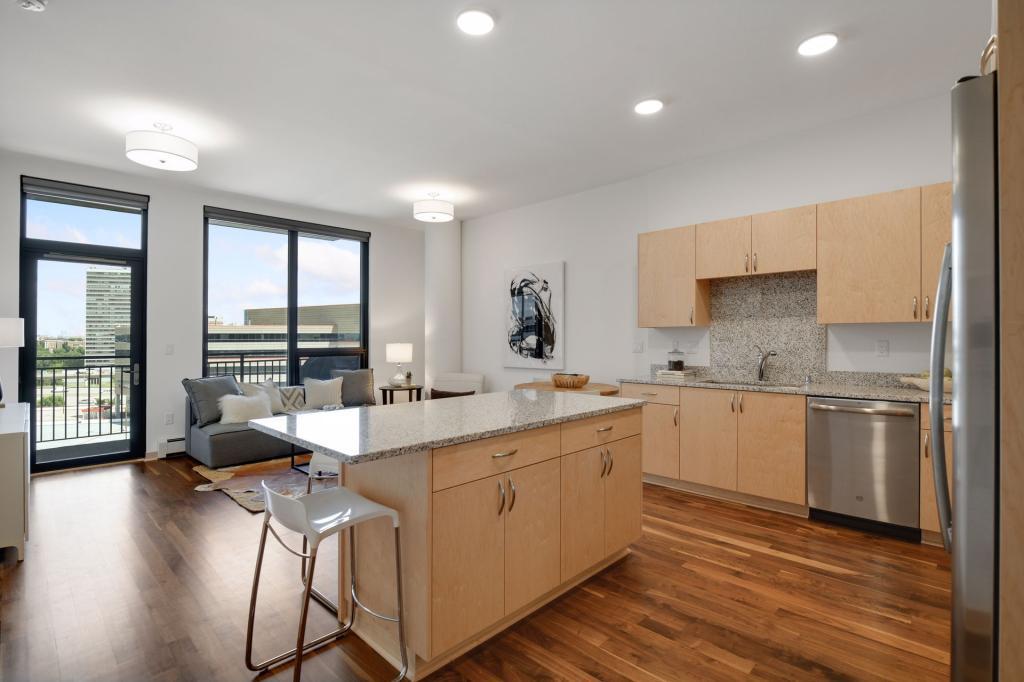1240 South 2nd Street, Unit 719 Minneapolis, MN 55415 - Photo 4 of 45