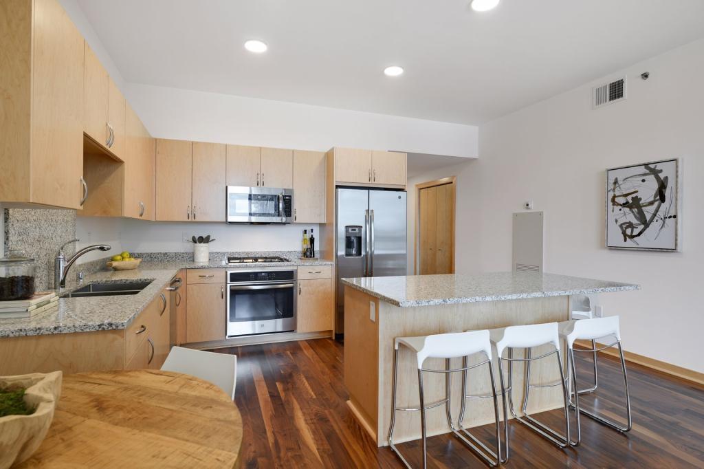 1240 South 2nd Street, Unit 719 Minneapolis, MN 55415 - Photo 8 of 45