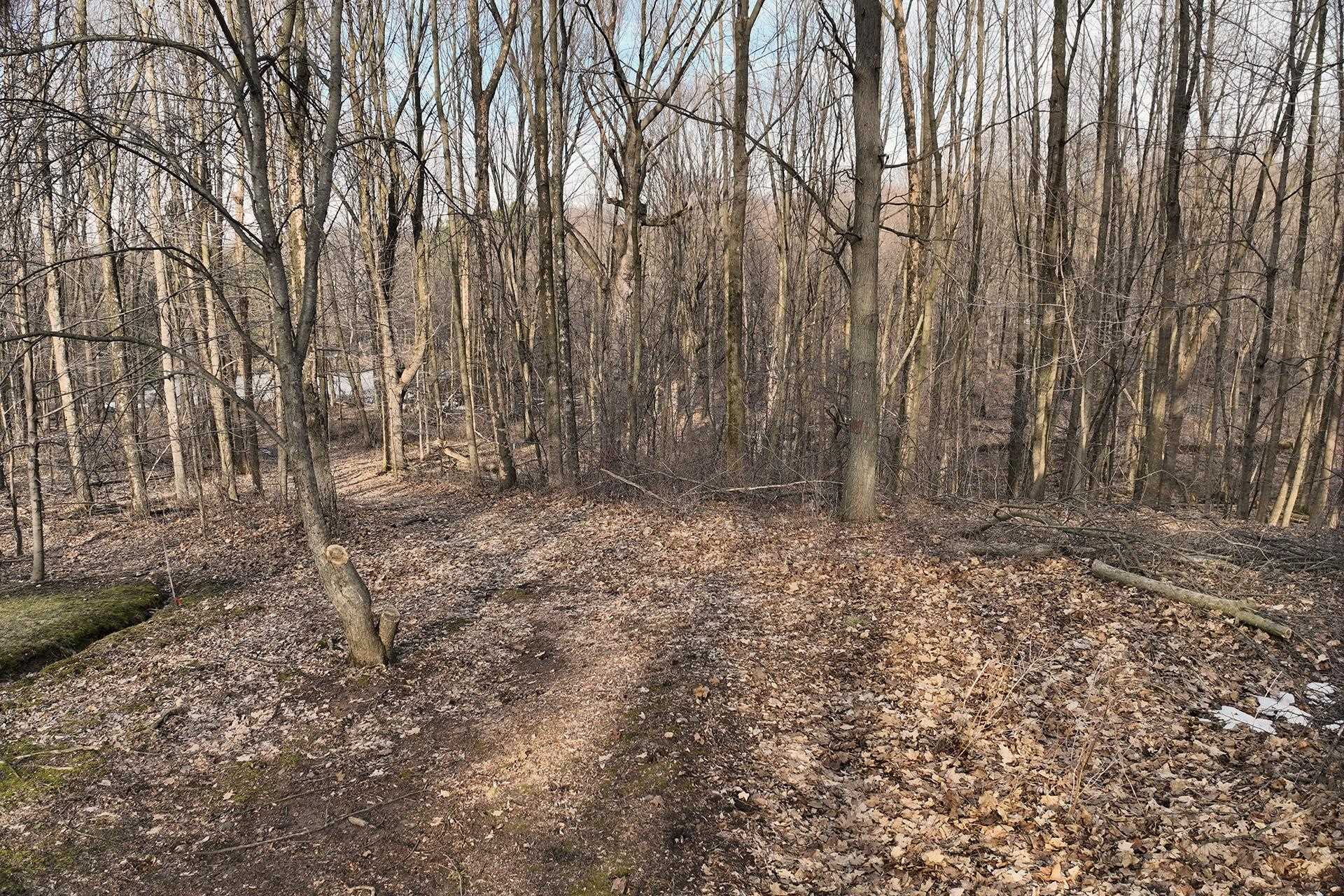 8.24-acres Ridge Road Neillsville, WI 54456 - Photo 11 of 15