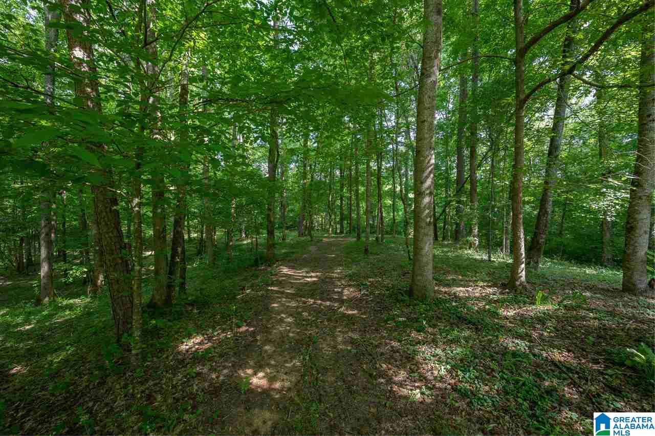 1121 Lanningham Road Cleveland, AL 35049 - Photo 23 of 34