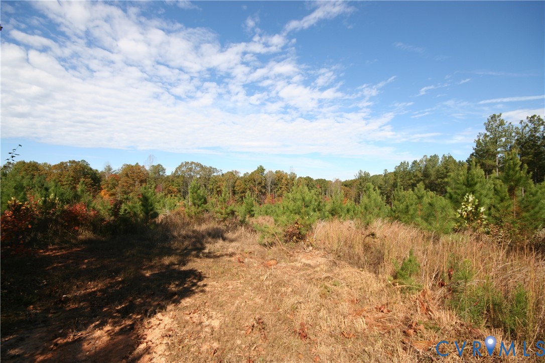 0 Ridge Road Arvonia, VA 23004 - Photo 23 of 50