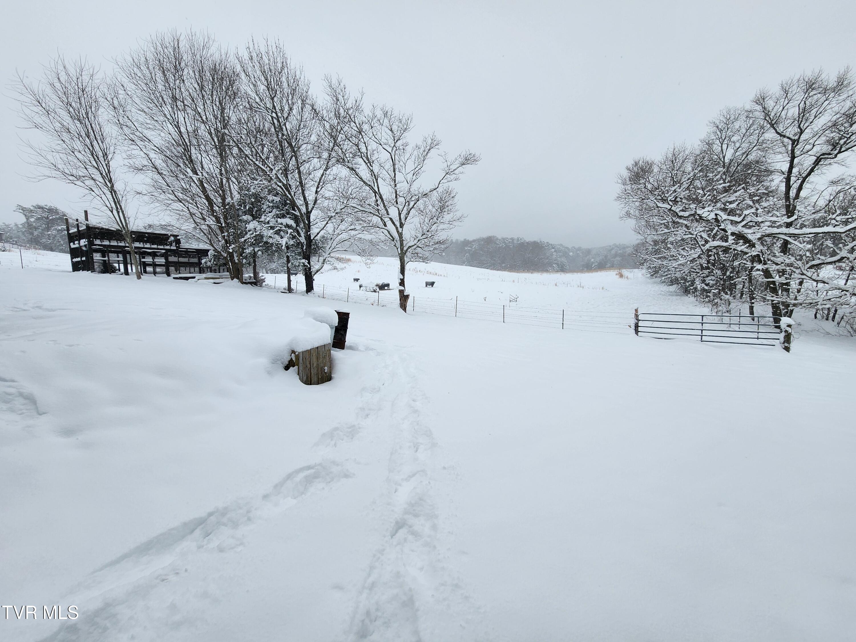 1710 Gosnell Susong Road Greeneville, TN 37743 - Photo 20 of 23 Winter
