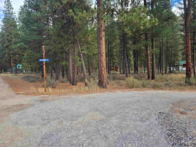 $120,000 | 21 Lots 8 9 Lowman Id 83637, Lowman, ID 83637
