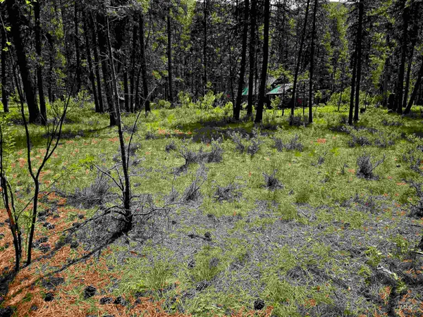 $120,000 | 21 Lots 8 9 Lowman Id 83637, Lowman, ID 83637
