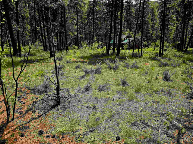 $120,000 | 21 Lots 8 9 Lowman Id 83637, Lowman, ID 83637