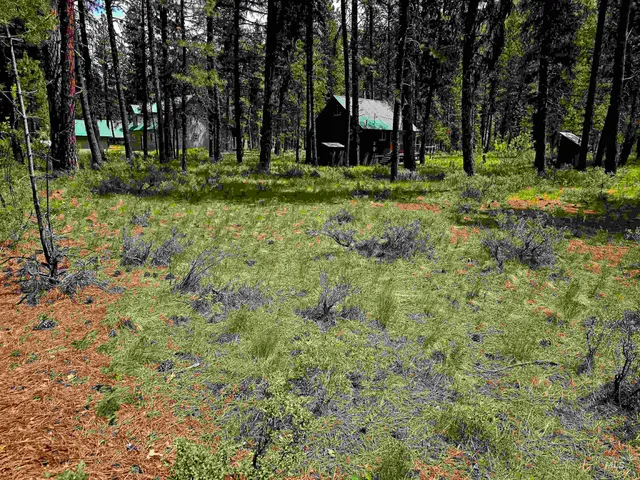 $120,000 | 21 Lots 8 9 Lowman Id 83637, Lowman, ID 83637