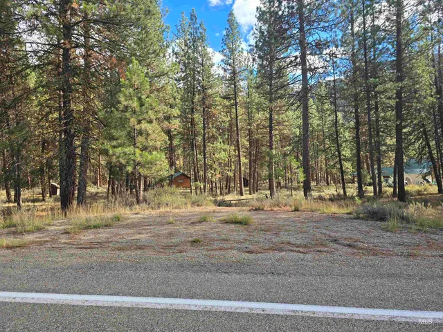 $120,000 | 21 Lots 8 9 Lowman Id 83637, Lowman, ID 83637