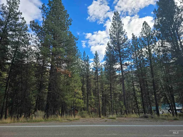 $120,000 | 21 Lots 8 9 Lowman Id 83637, Lowman, ID 83637