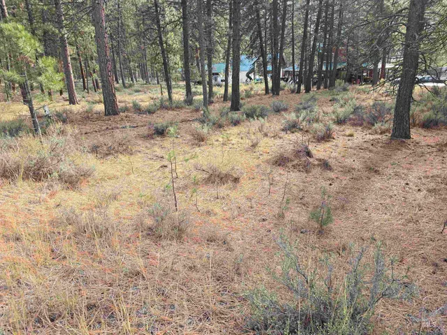$120,000 | 21 Lots 8 9 Lowman Id 83637, Lowman, ID 83637