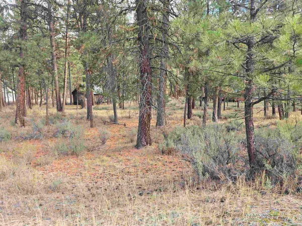 $120,000 | 21 Lots 8 9 Lowman Id 83637, Lowman, ID 83637